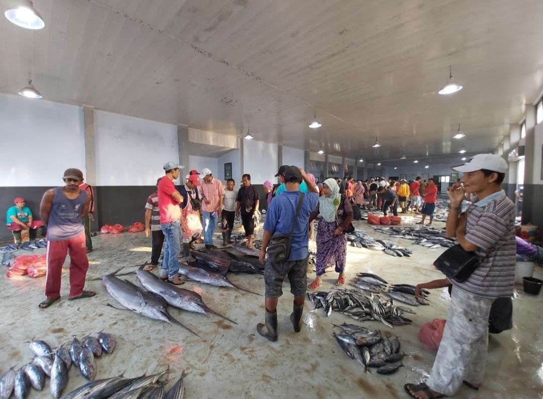 Pasokan Melimpah Harga Ikan Laut Murah Bingar Id