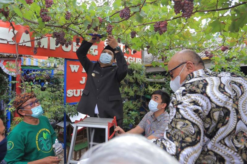 Kampung Sejahtera Mandiri