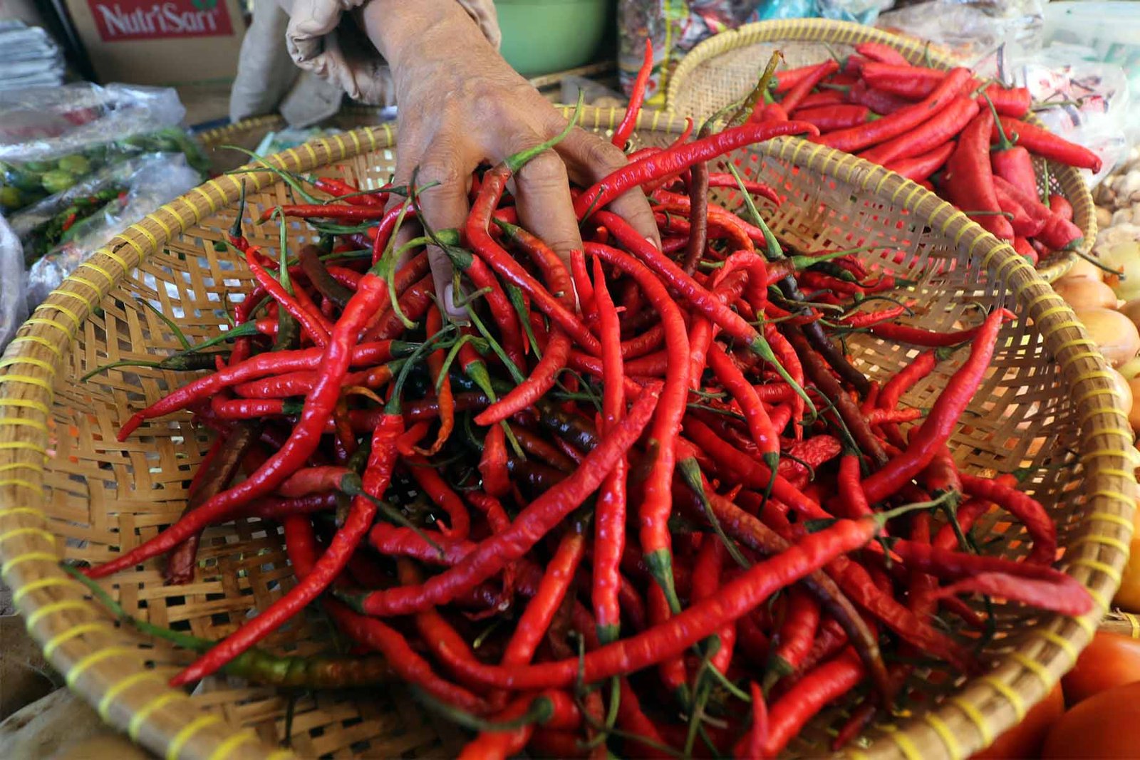 Cabai Merah