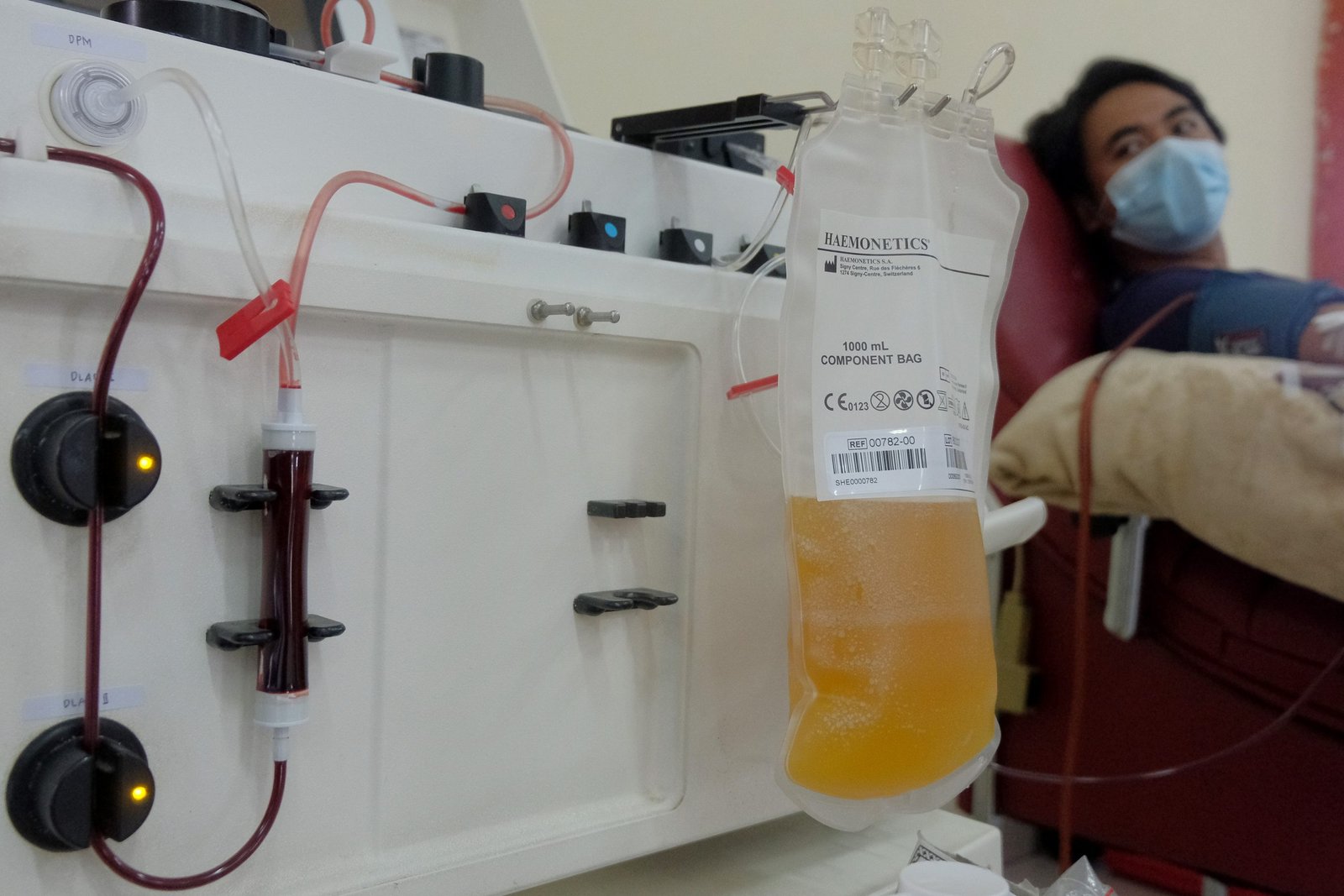 donor plasma konvalesen