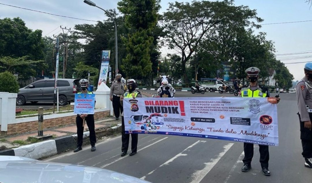 Jalur mudik