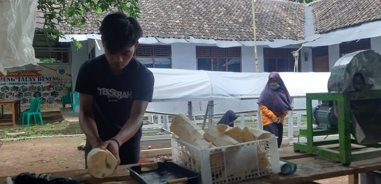 Talas Beneng