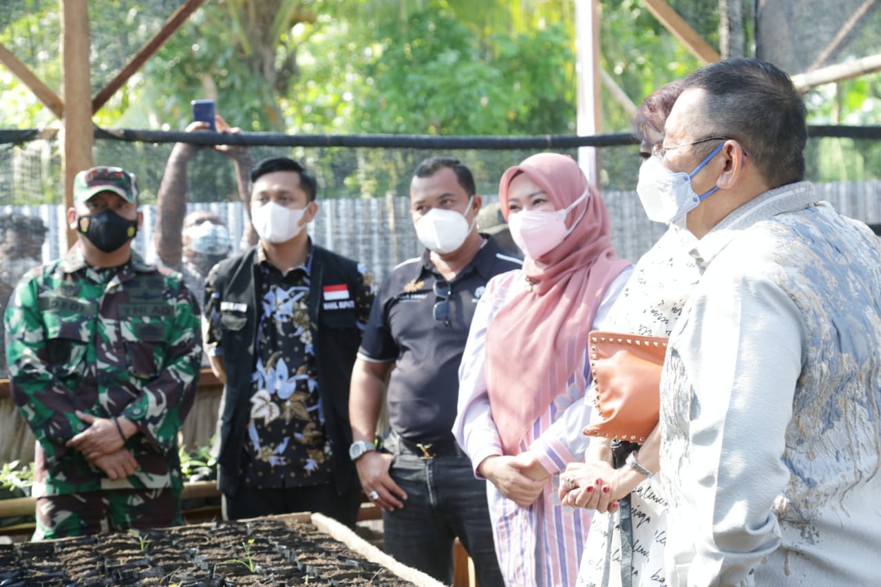  Perkebunan Vanili  Seluas 200 Hektare Dibangun di 