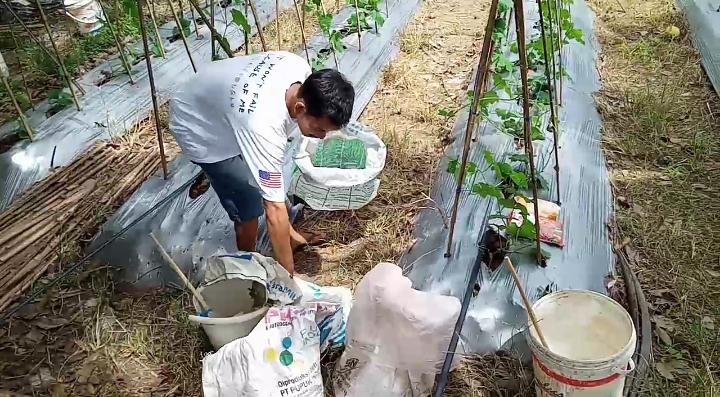 Pupuk Subsidi di Pandeglang