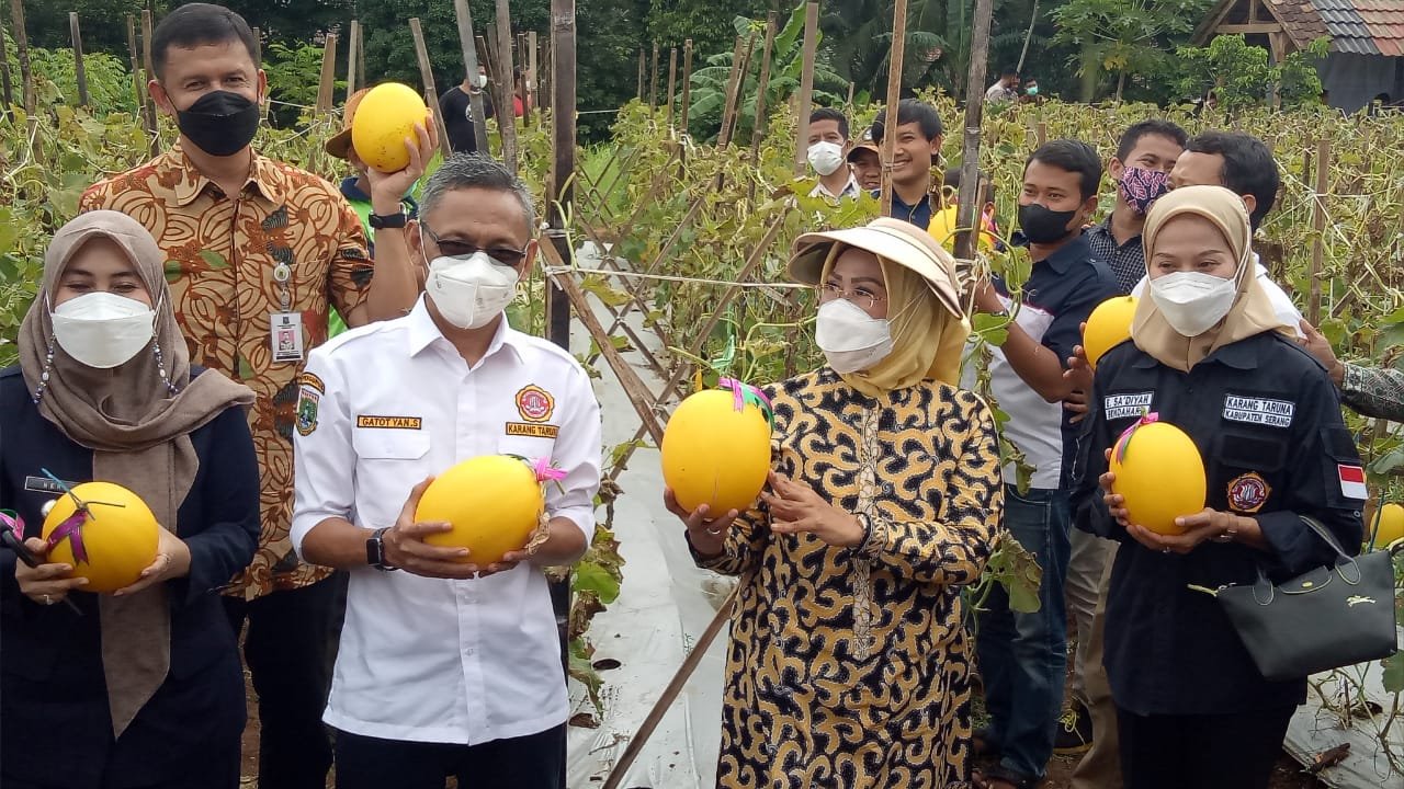 Pendampingan