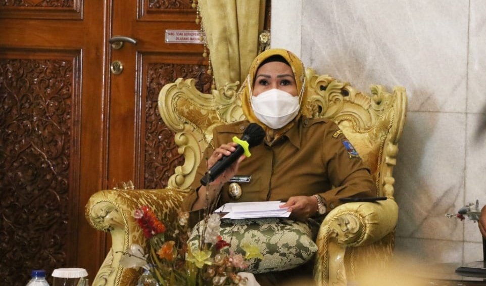 Ratu Tatu Chasanah
