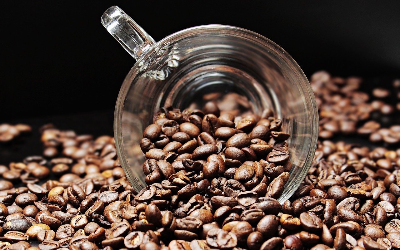 Kopi Robusta Serang