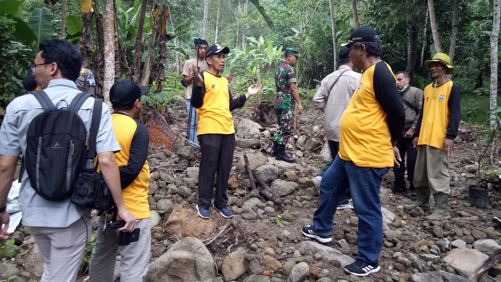 Penanaman Pohon