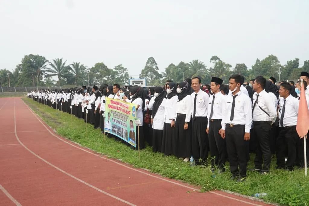 honorer pandeglang
