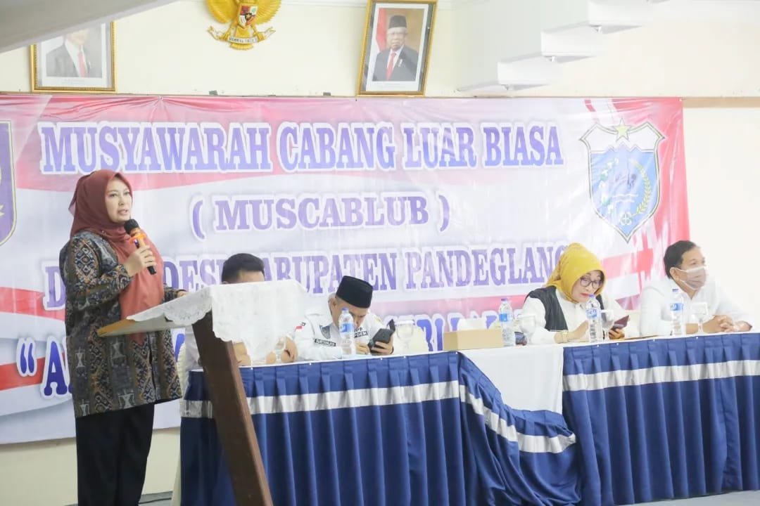 Program Kerja APDESI