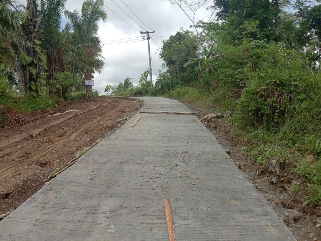 Jalan Ciherang