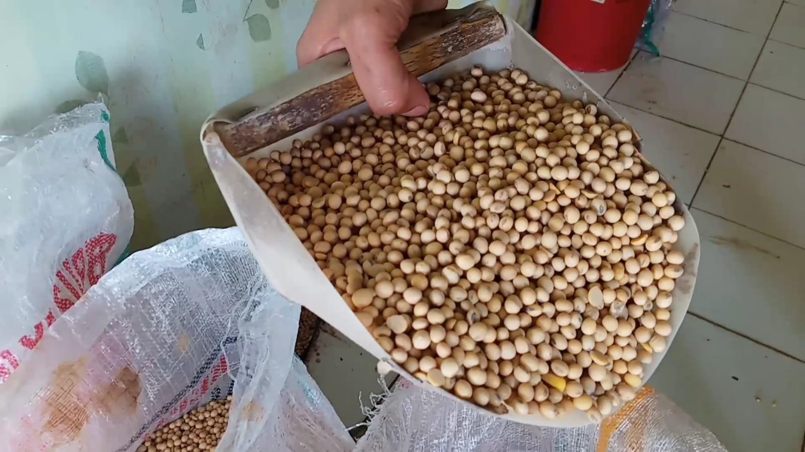 Harga Kacang Kedelai