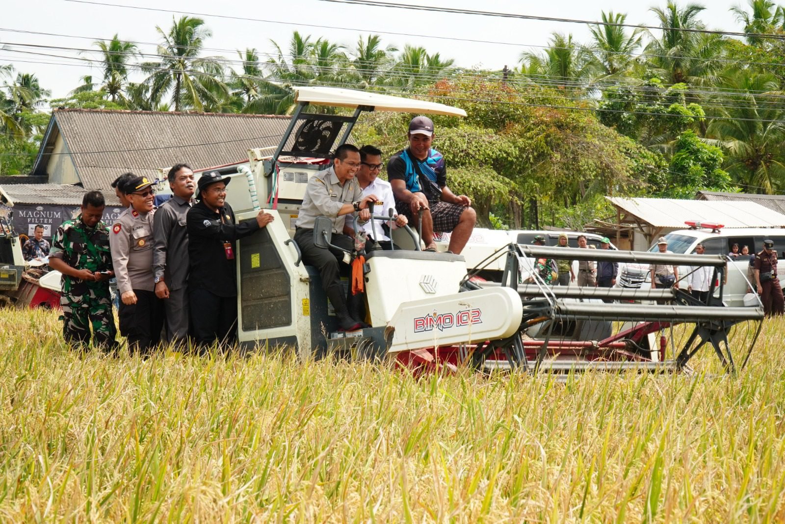 Panen Raya Panimbang