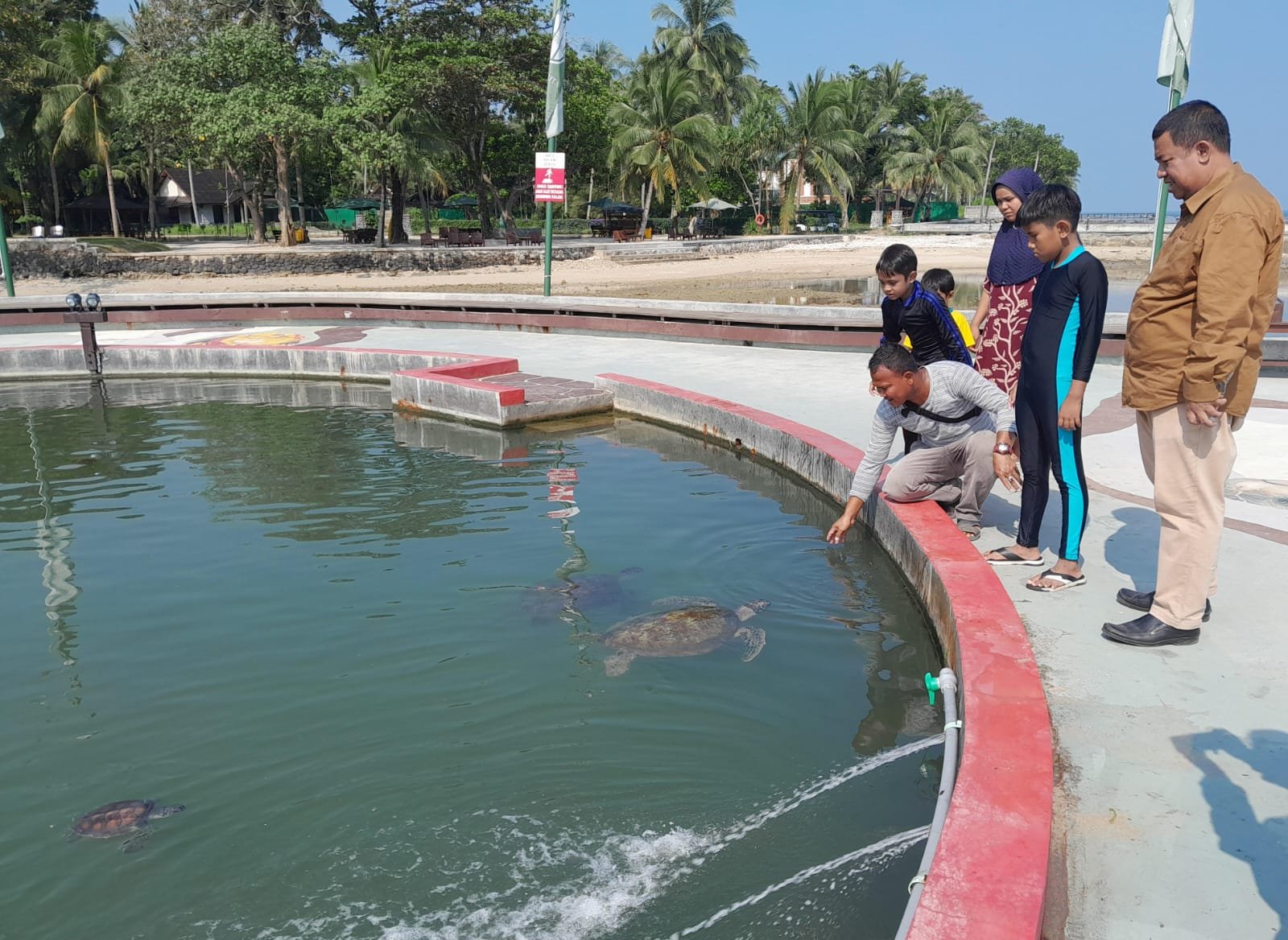 Penangkaran Penyu