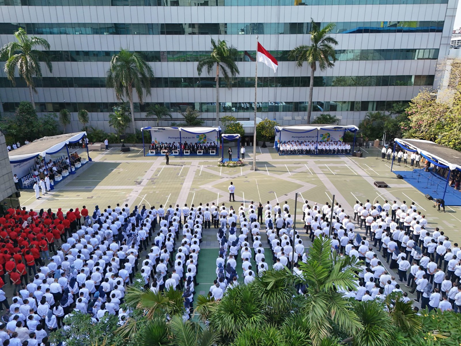 PT PLN