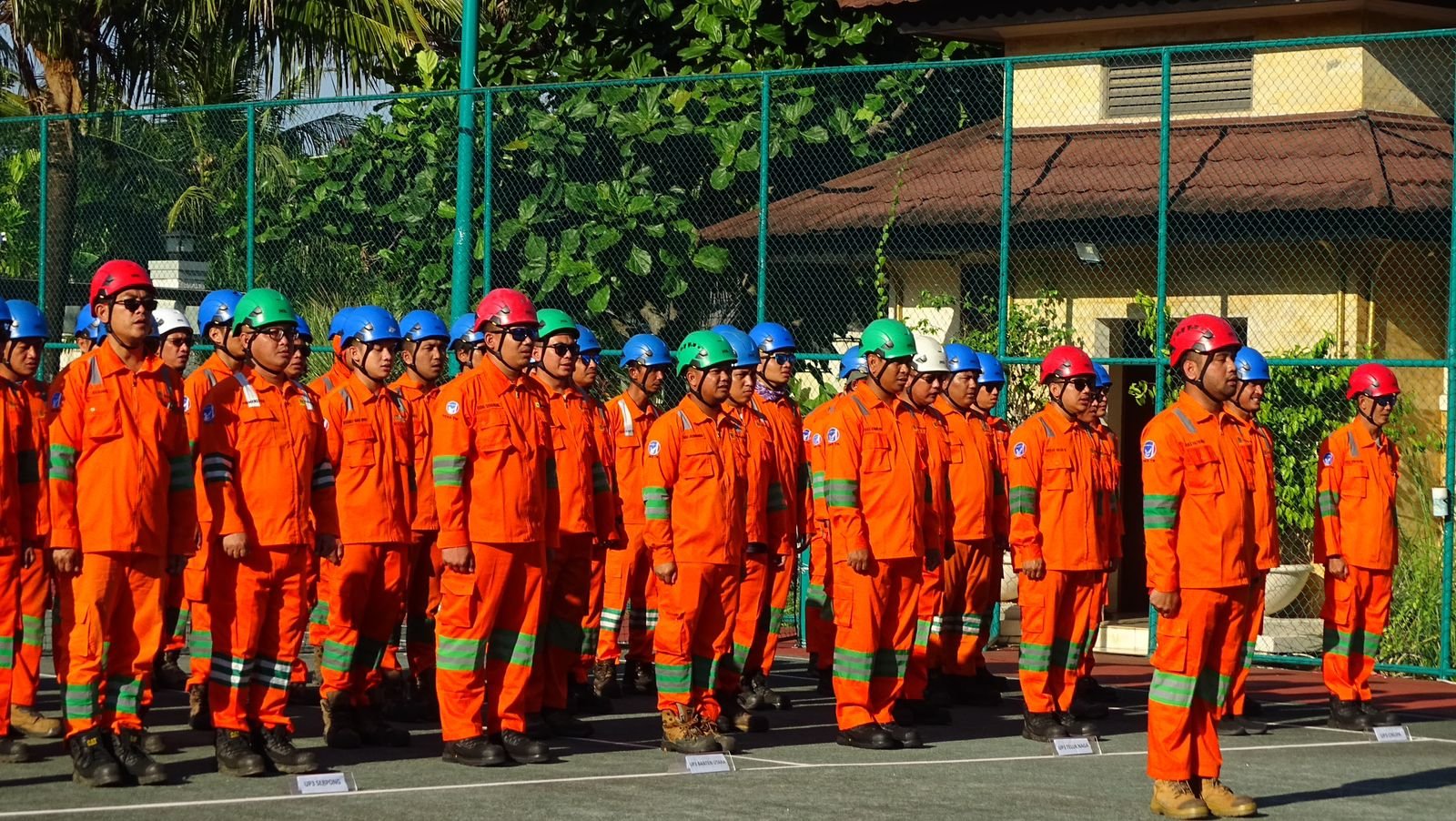 PT PLN
