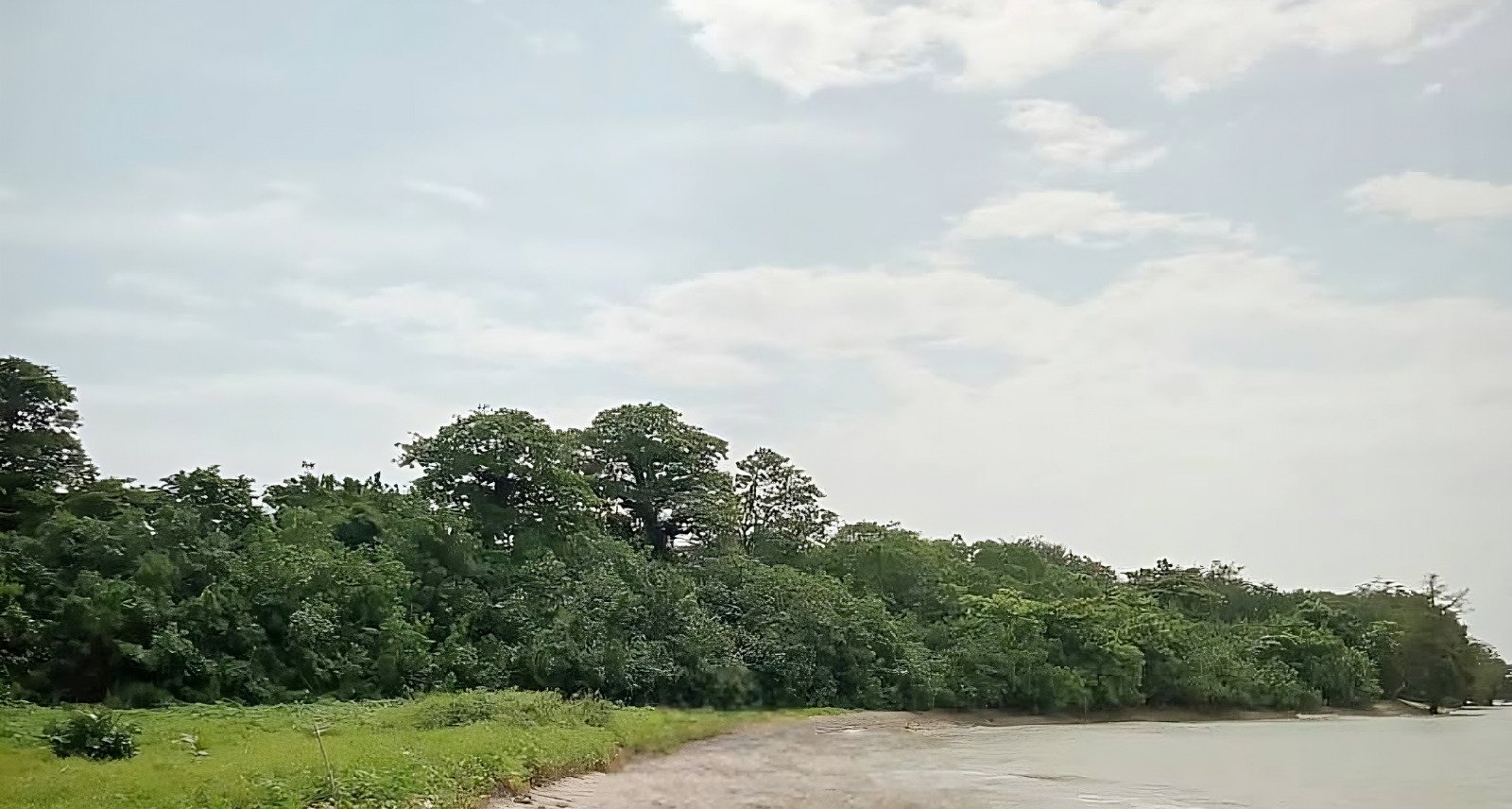 Popole
