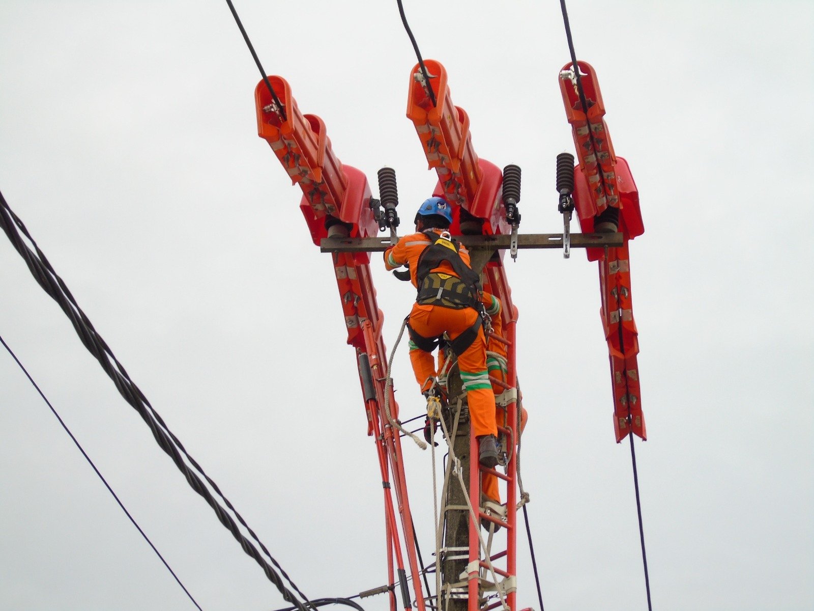 PT PLN