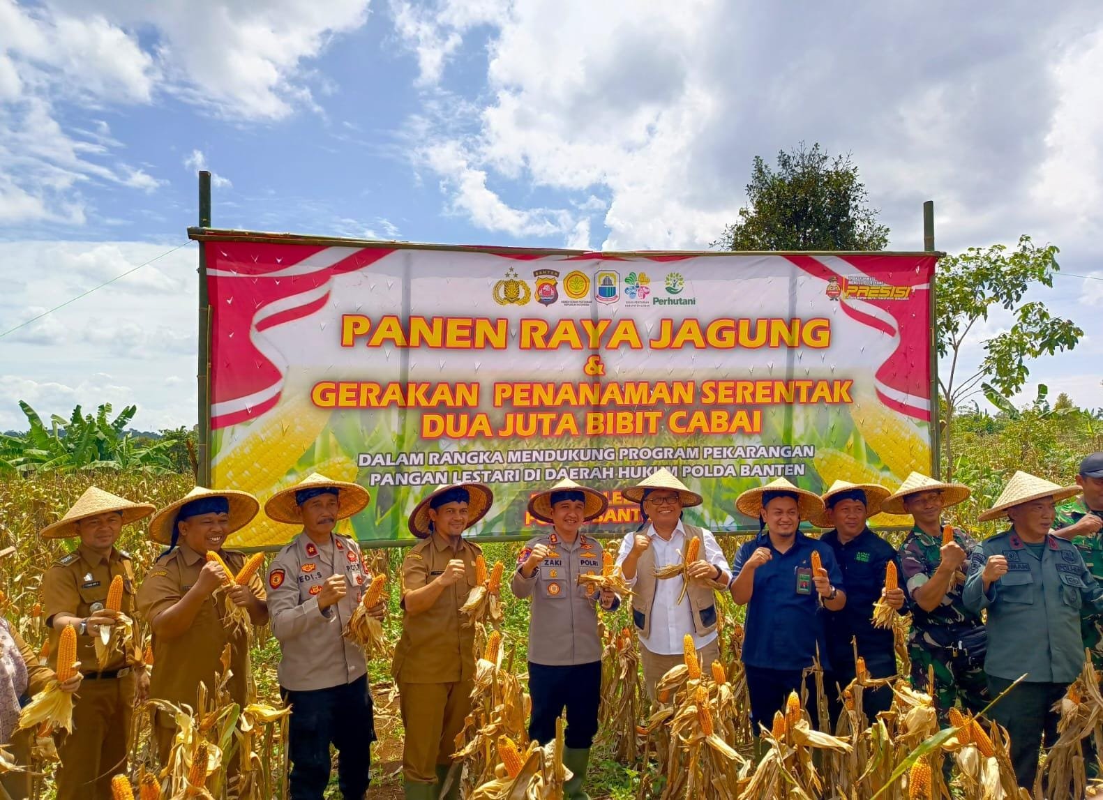 Panen Raya
