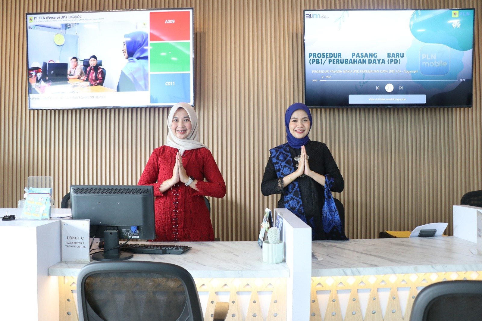PT PLN