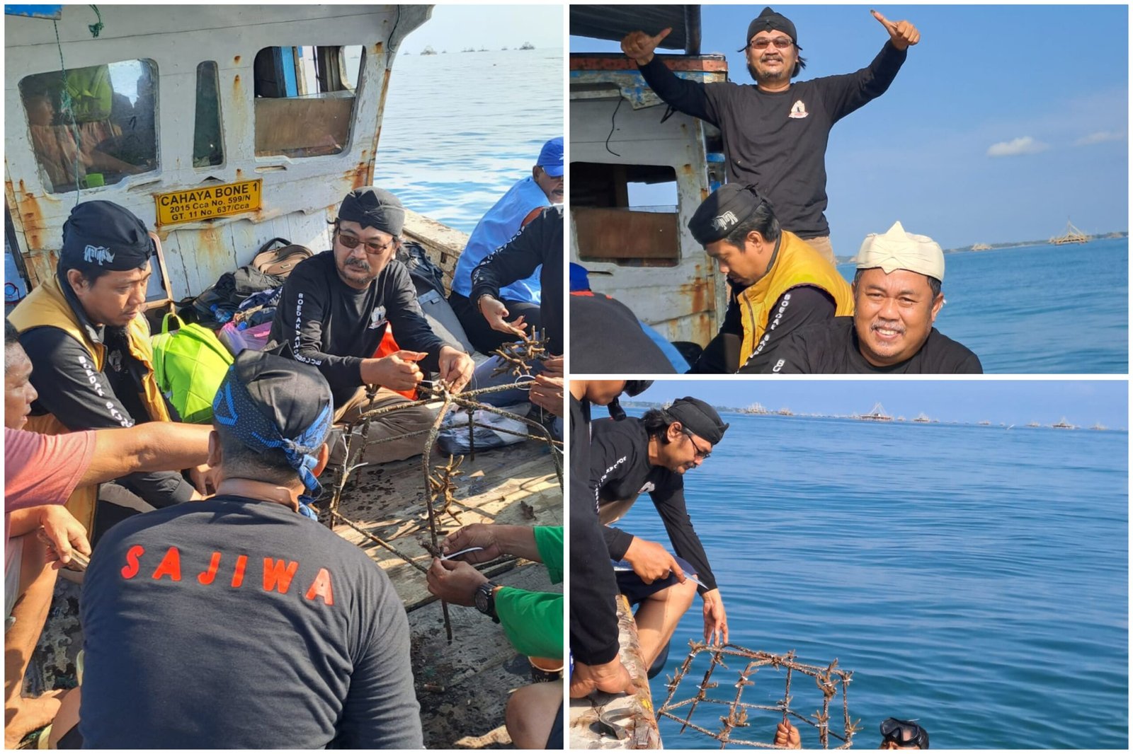 Terumbu Karang