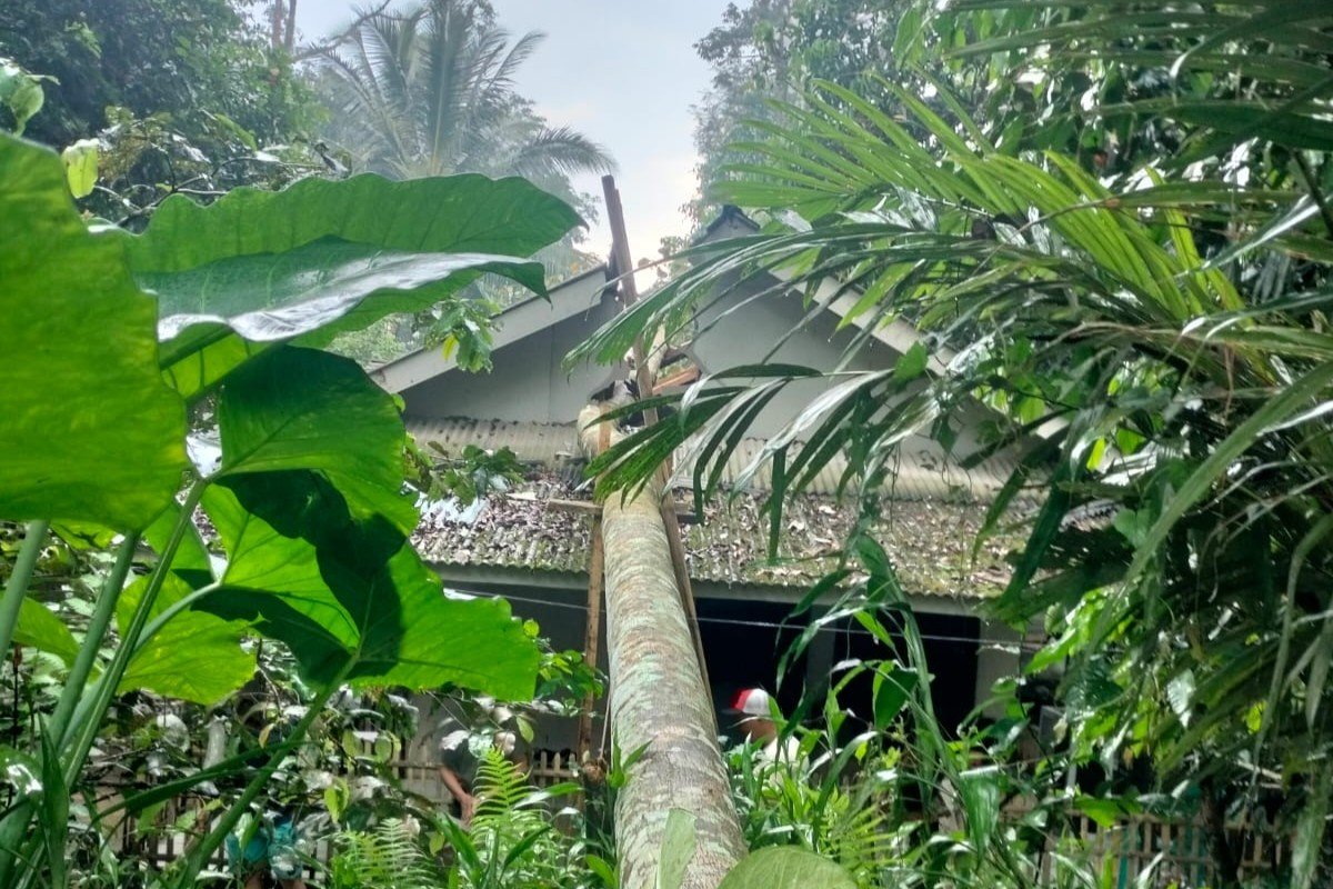 Rumah Roboh